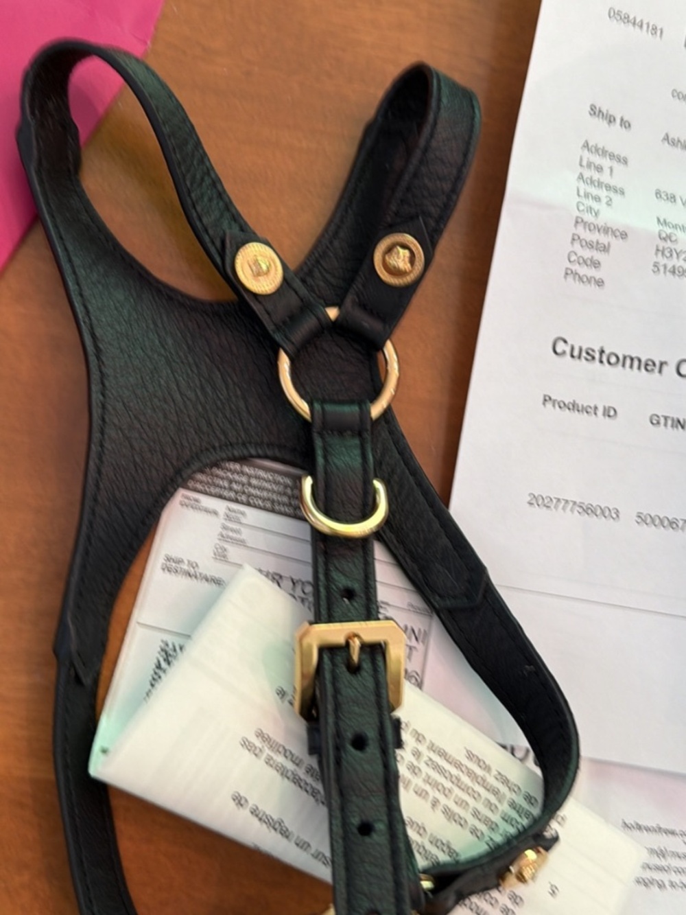 Versace Black with gold studs Dog Harness